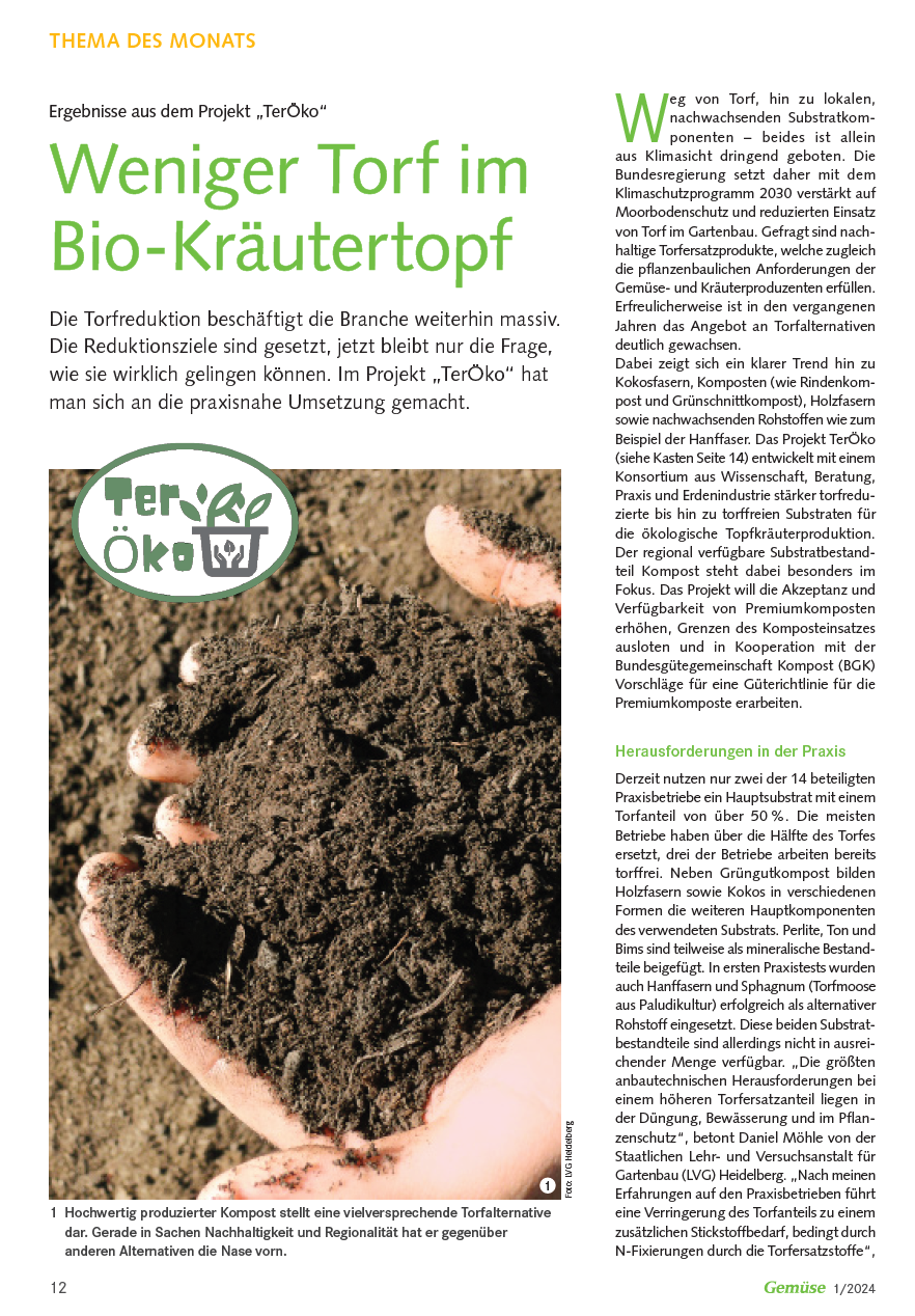 Ergebinisse aus dem BÖL-Projekt TerÖko: Torfreduzierte Substrate für Bio-Kräutertöpfe- Artikel in der Zeitschrift "Gemüse"