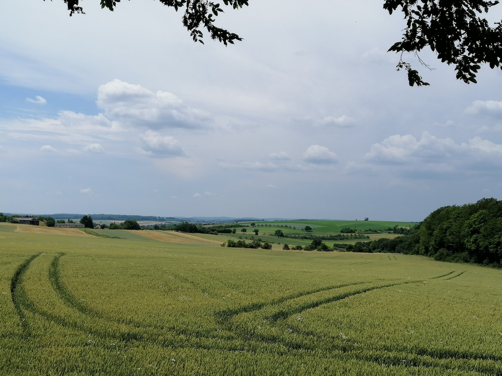 Kompostanwendung