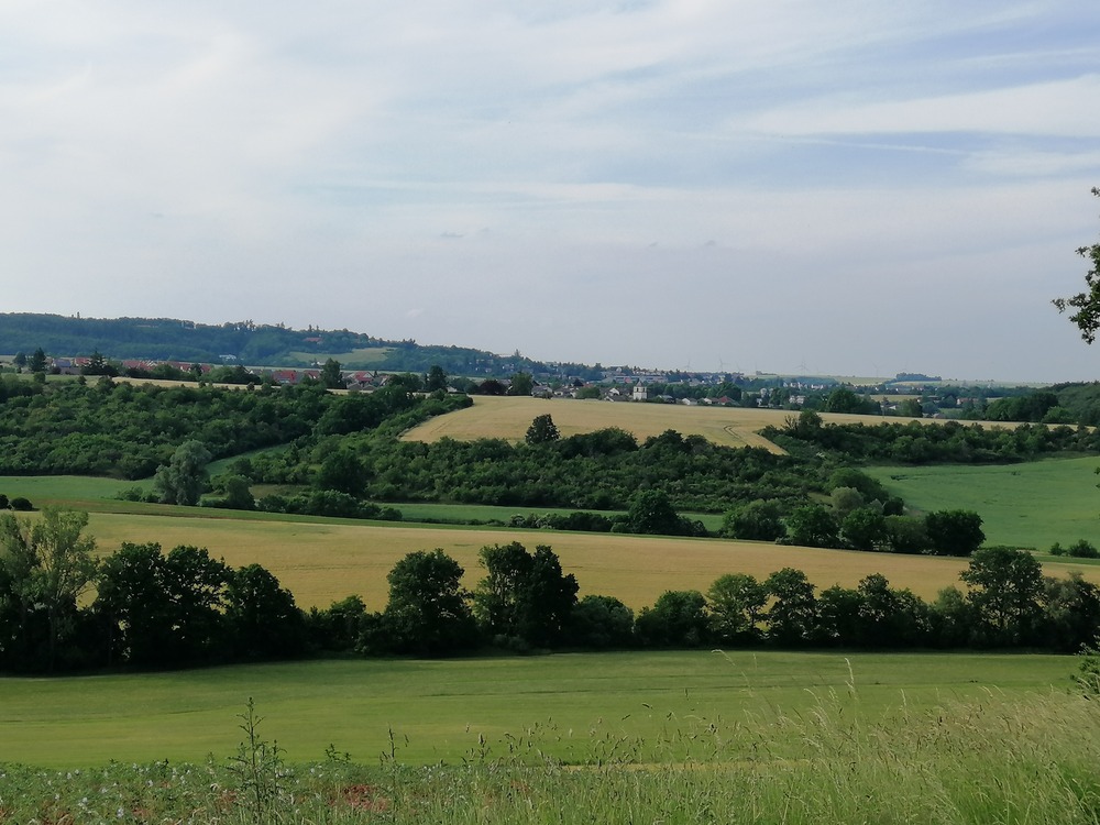 Kartoffeln Kompostanwendung